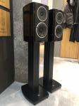 SA Pandion 5 inkl. FS 4 Stands & Sicomin Antispike !