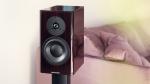 Special Forty Black Vine inkl. Dynaudio Stand 20